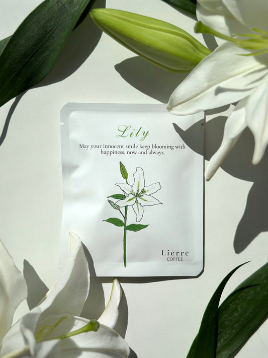 《Lilyブレンド》無垢な笑顔に送る特別な一杯（３個セット）